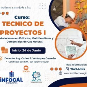 TECNICO DE PROYECTOS I