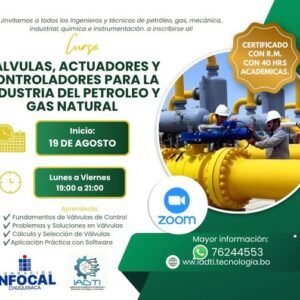 VALVULAS, ACTUADORES Y CONTROLADORES PARA LA INDUSTRIA DEL PETROLEO Y GAS NATURAL